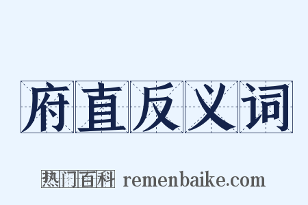 府直反义词是什么意思的图片